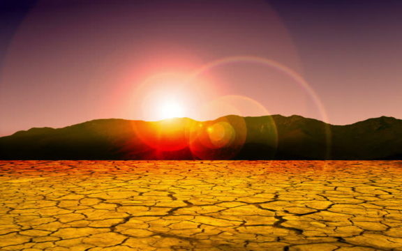 LEAVE THE ZOO AND RETURN TO THE DESERT